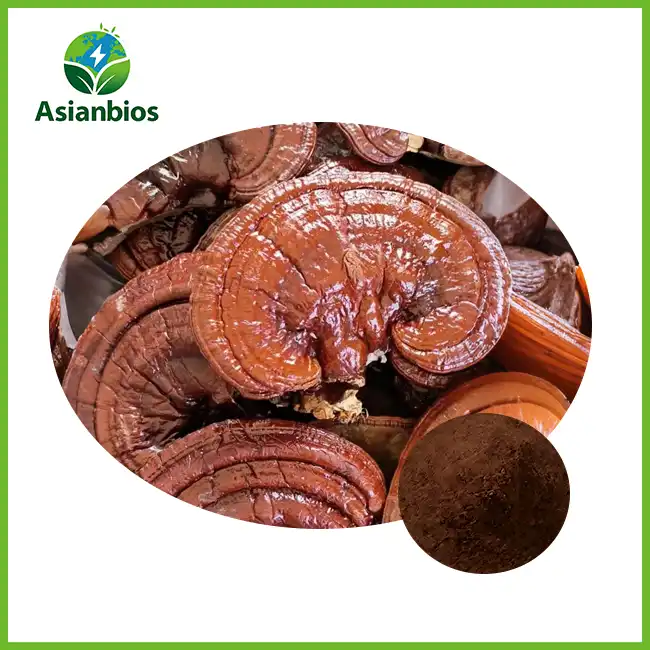 best reishi mushroom powder